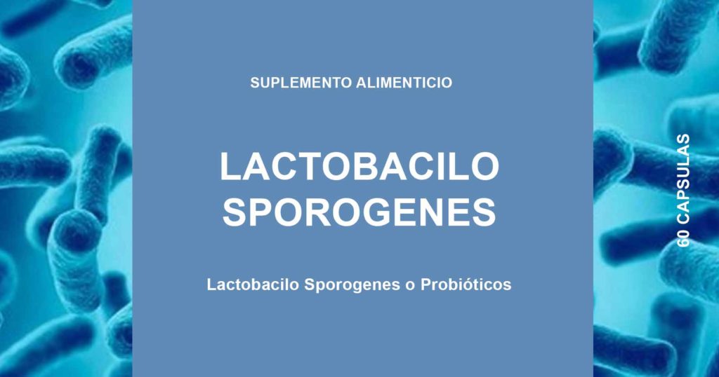 Lactobacilos Sporogenes Probióticos Propiedades, Beneficios Y Cómo ...